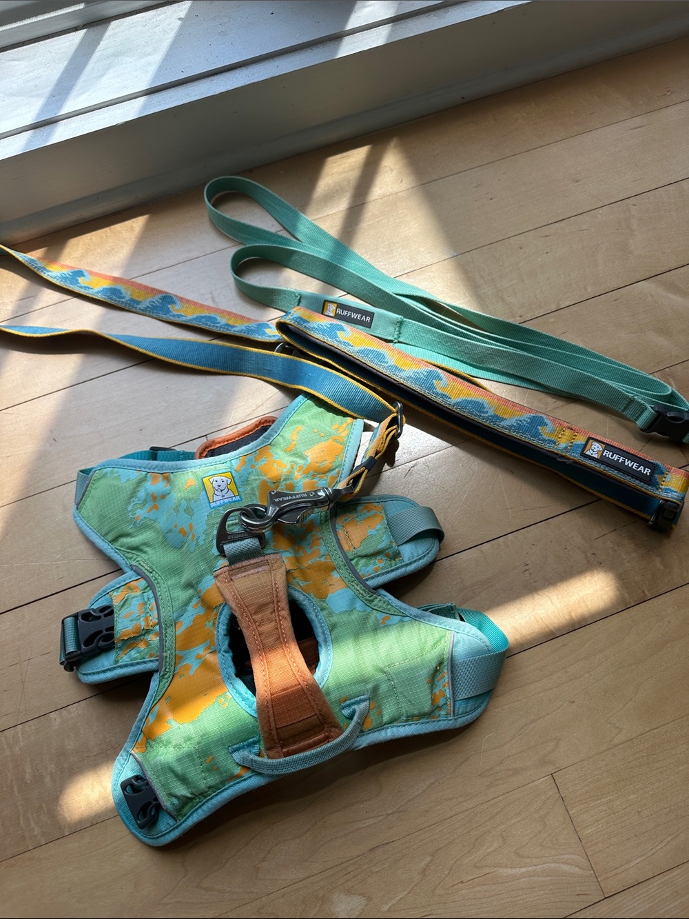 Ruffwear Webmaster Dog Harness + TWO Teal & Orange Matching Interchange Leashes